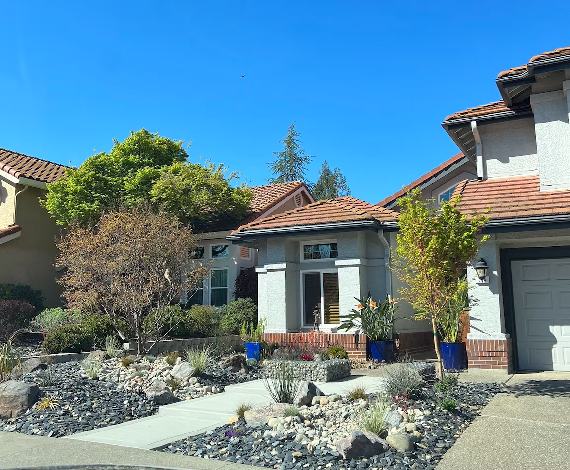 Fire-conscious landscaping project