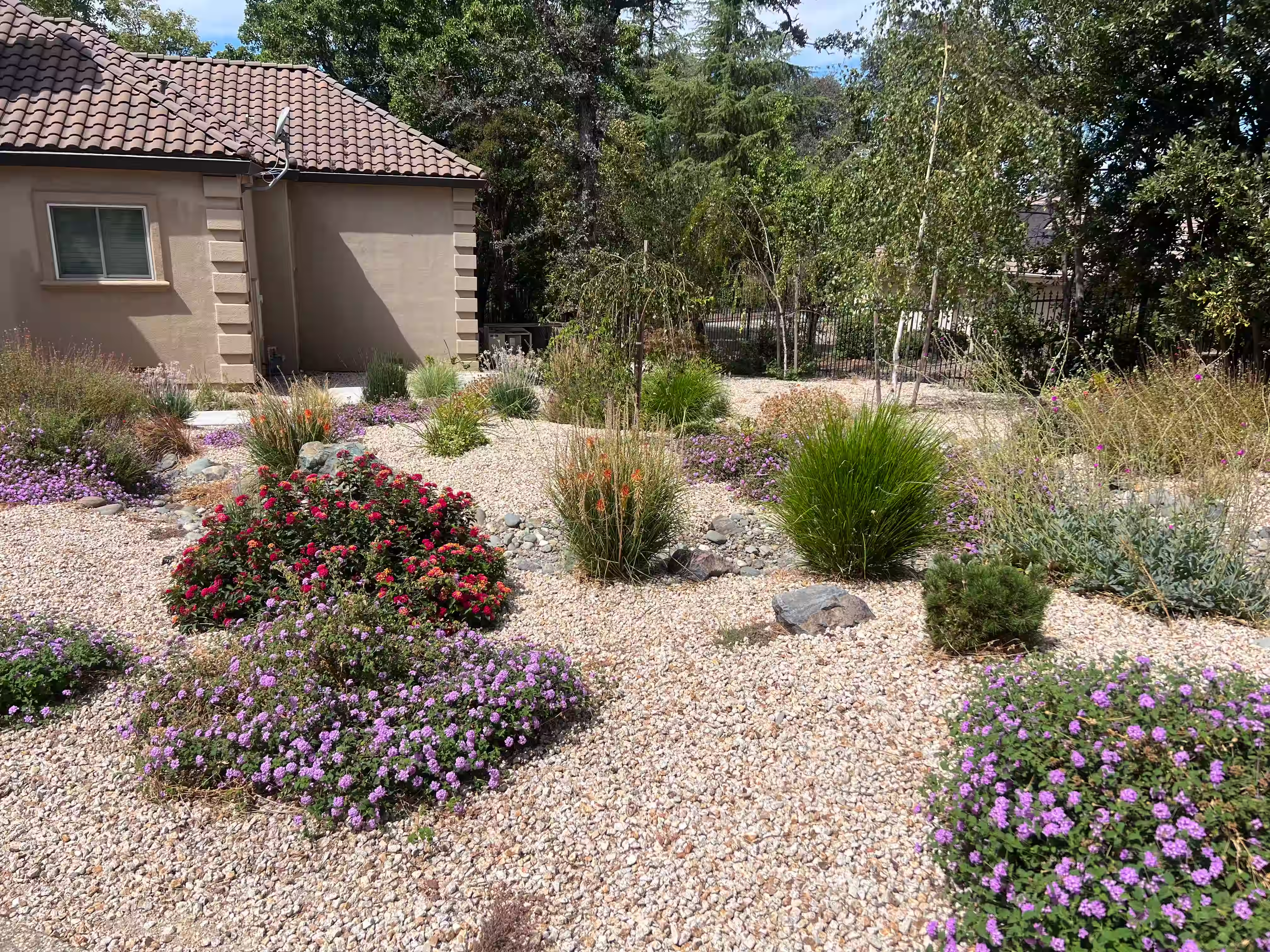Fire-conscious landscape project with water-wise planting and fire-resistant plants