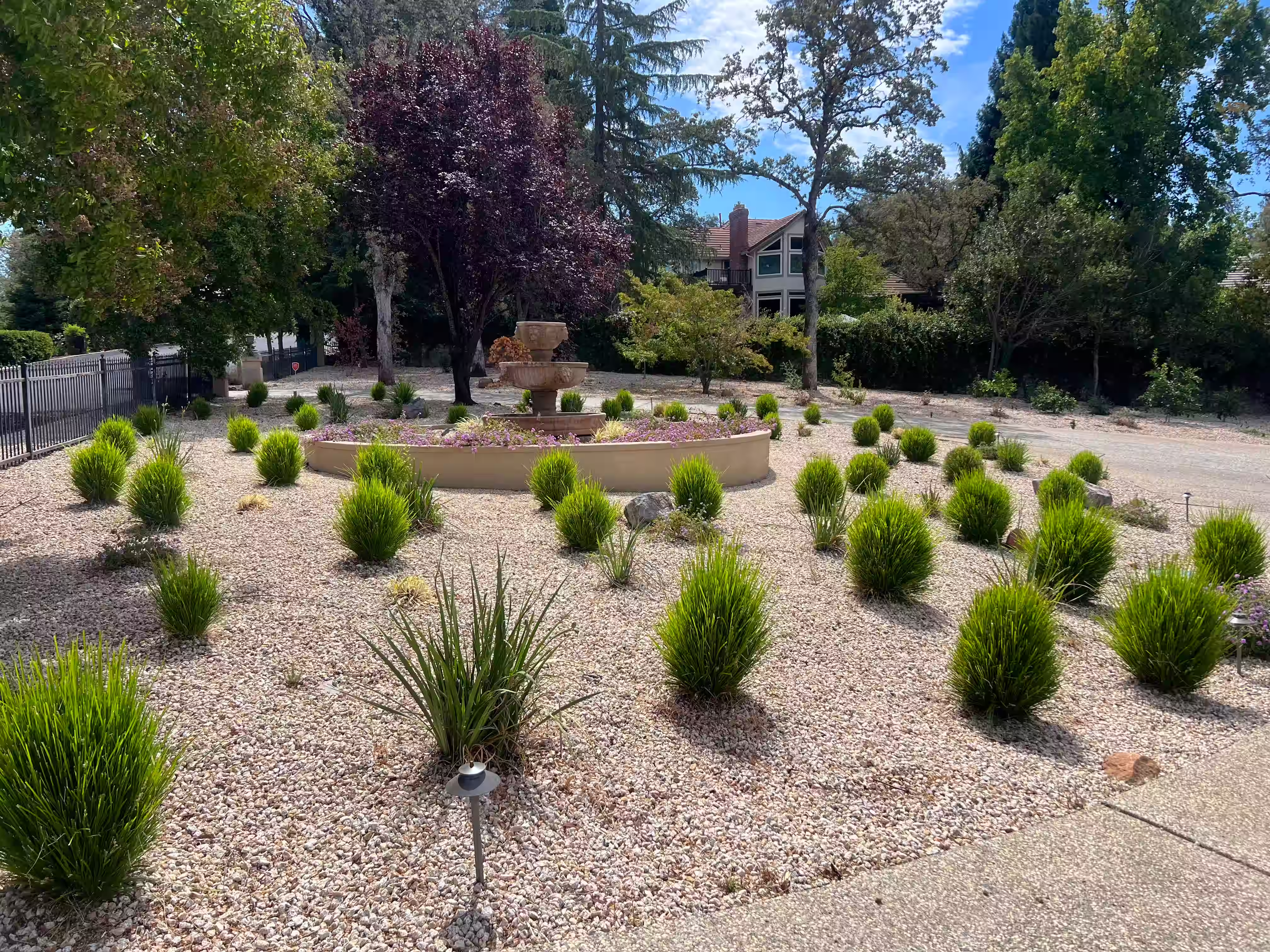 Plants and lighting thoughtfully arranged for fire-resistant landscaping