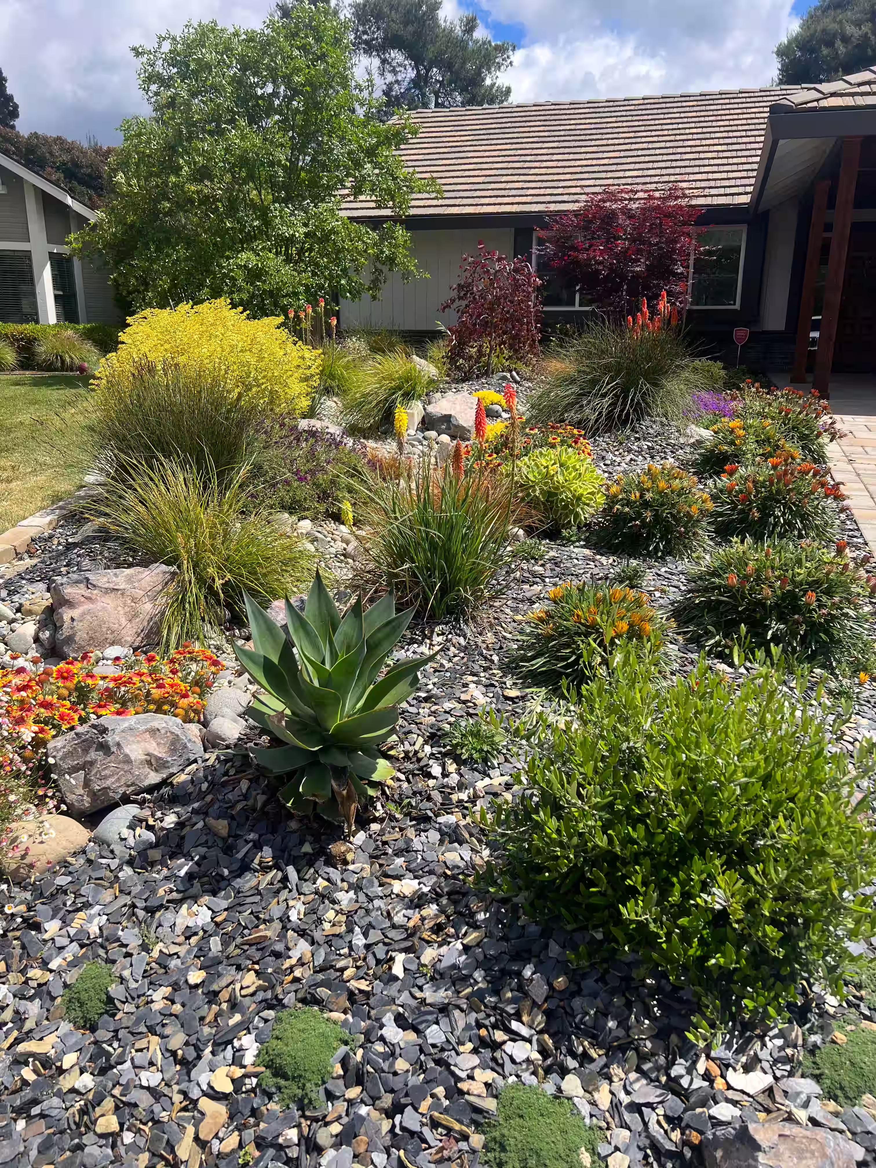 Lush designs for fire-resistant landscaping