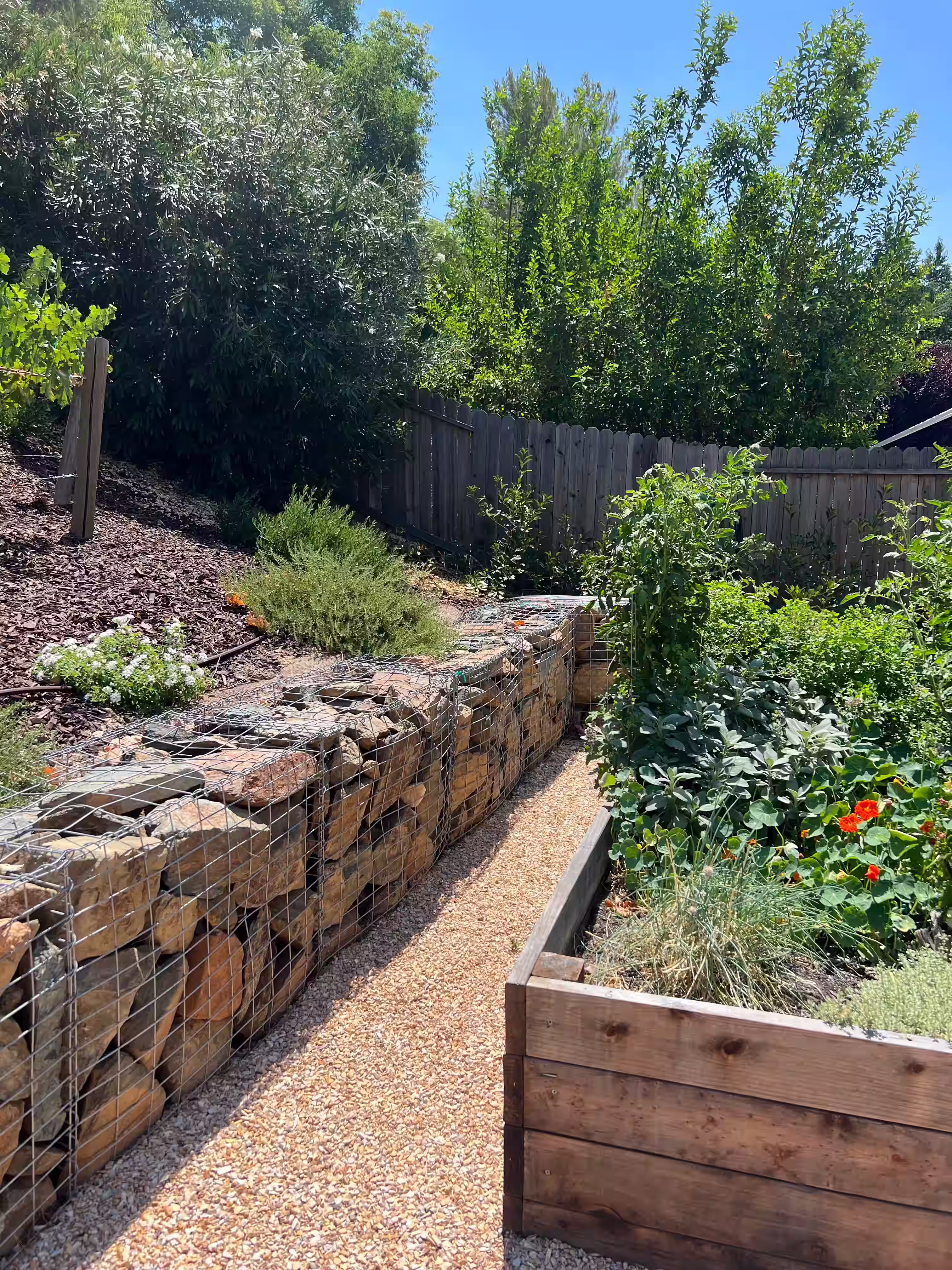 Gabion cages for retaining walls for maximum aesthetic appeal