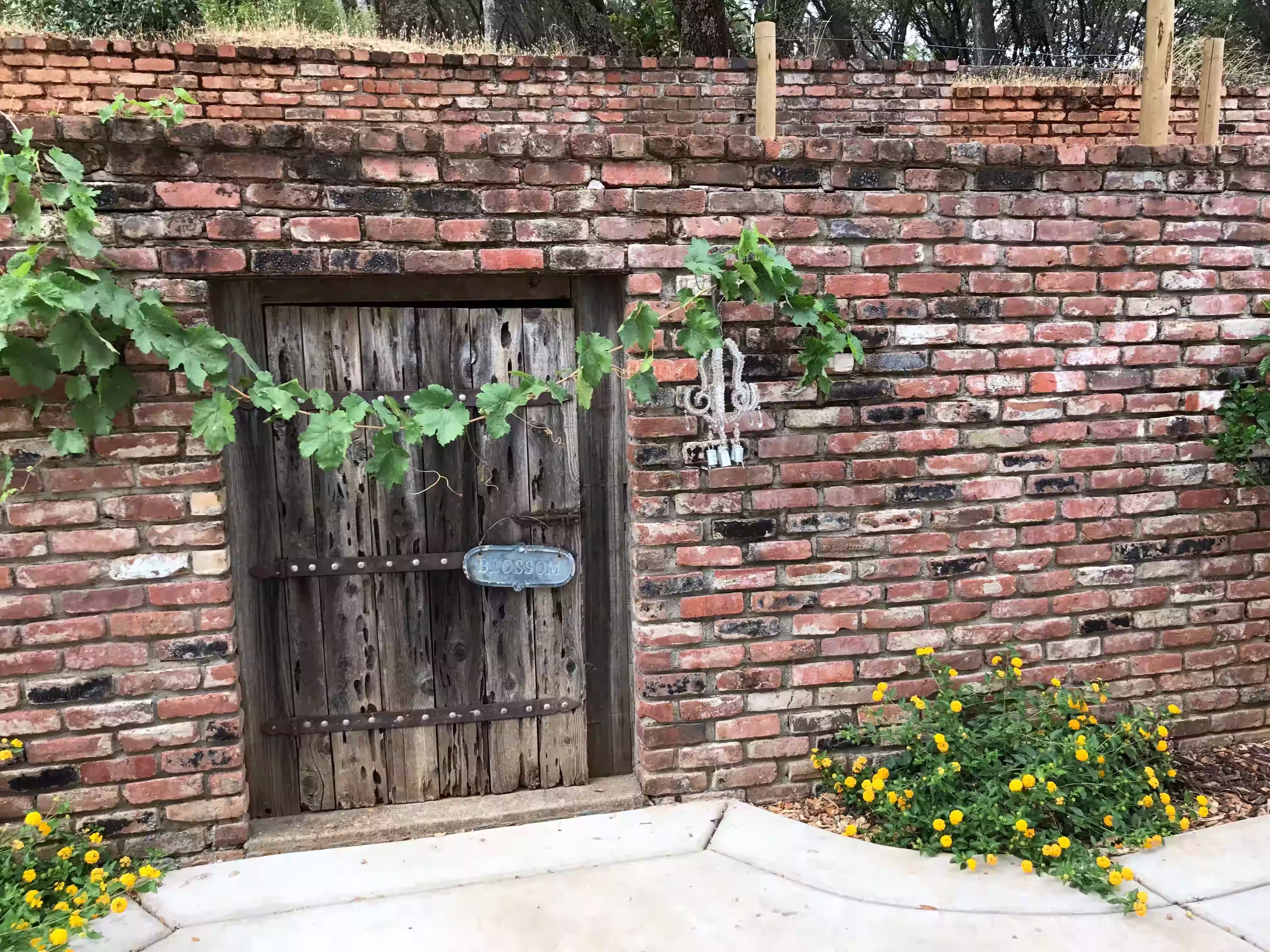 Aesthetically pleasing elements like rustic wooden doors, sconces, and lighting fixtures integrated into the hardscape