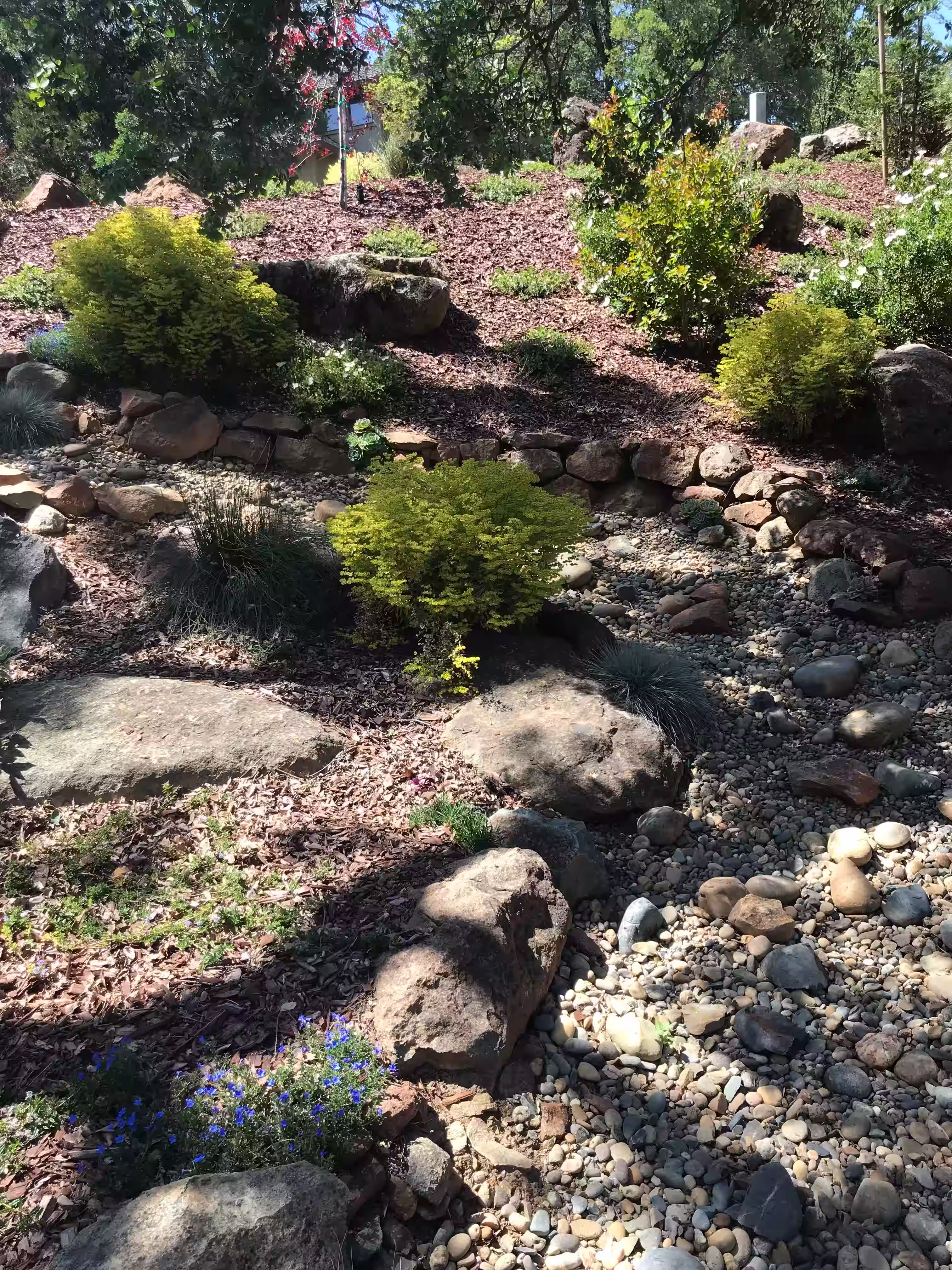 Hillside garden design with drainage and rocks