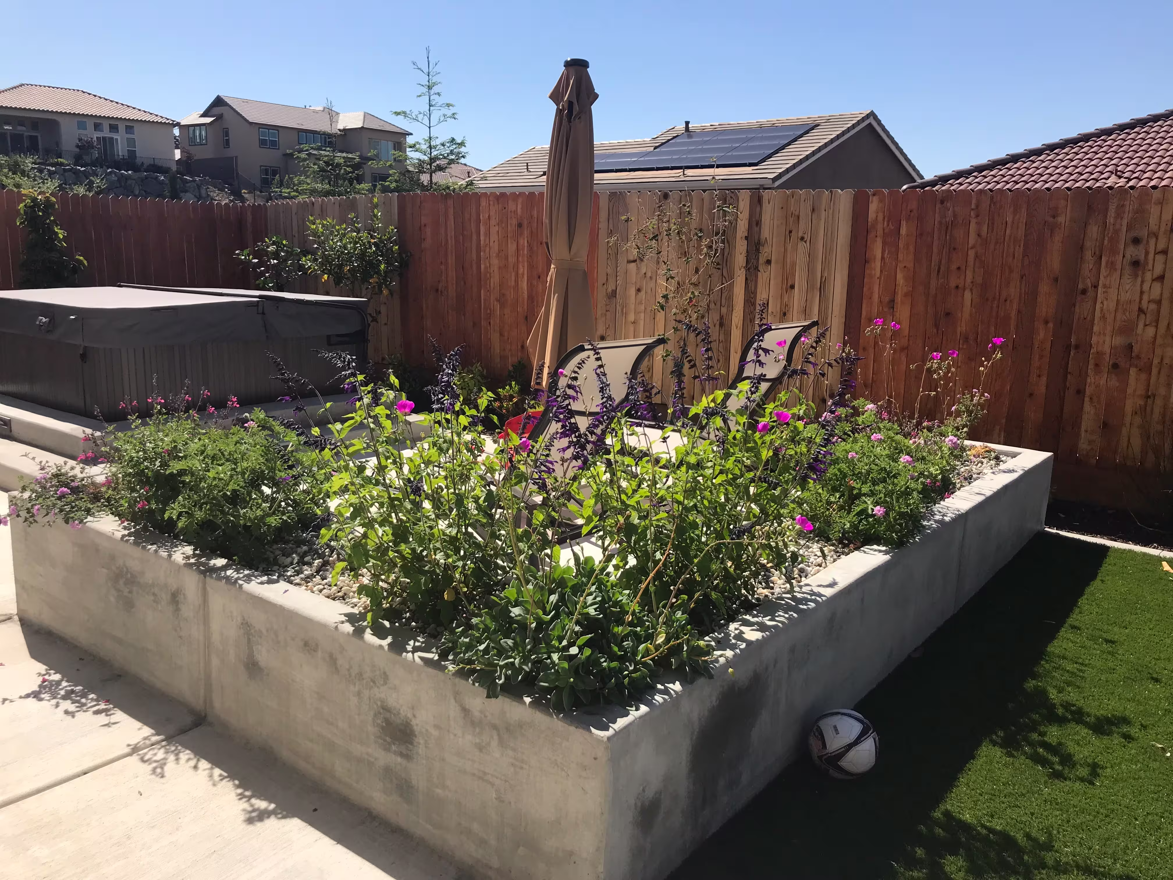 Concrete planter boxes with greenery