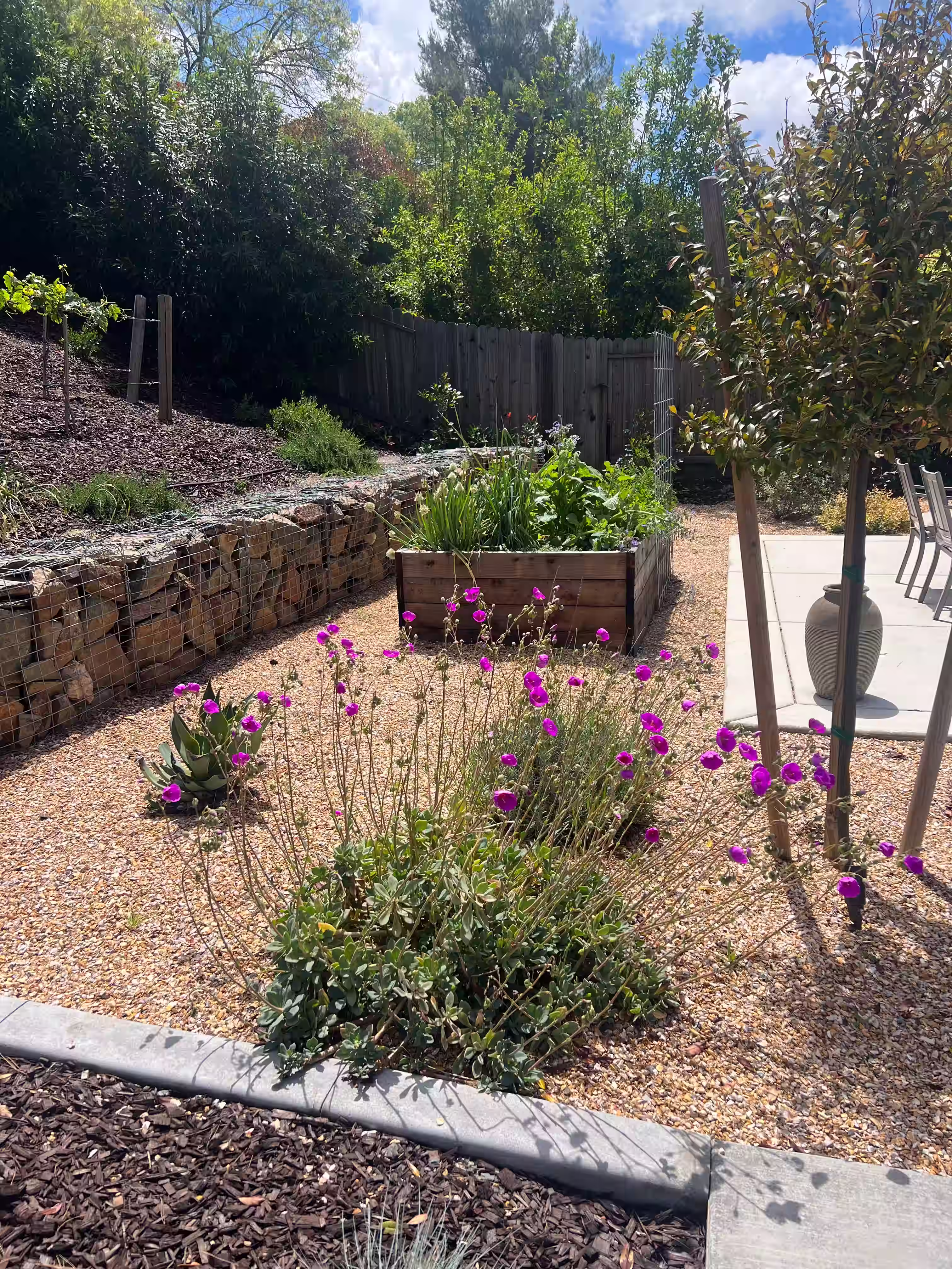 Gabion cages and planter boxes for functional and aesthetic landscaping