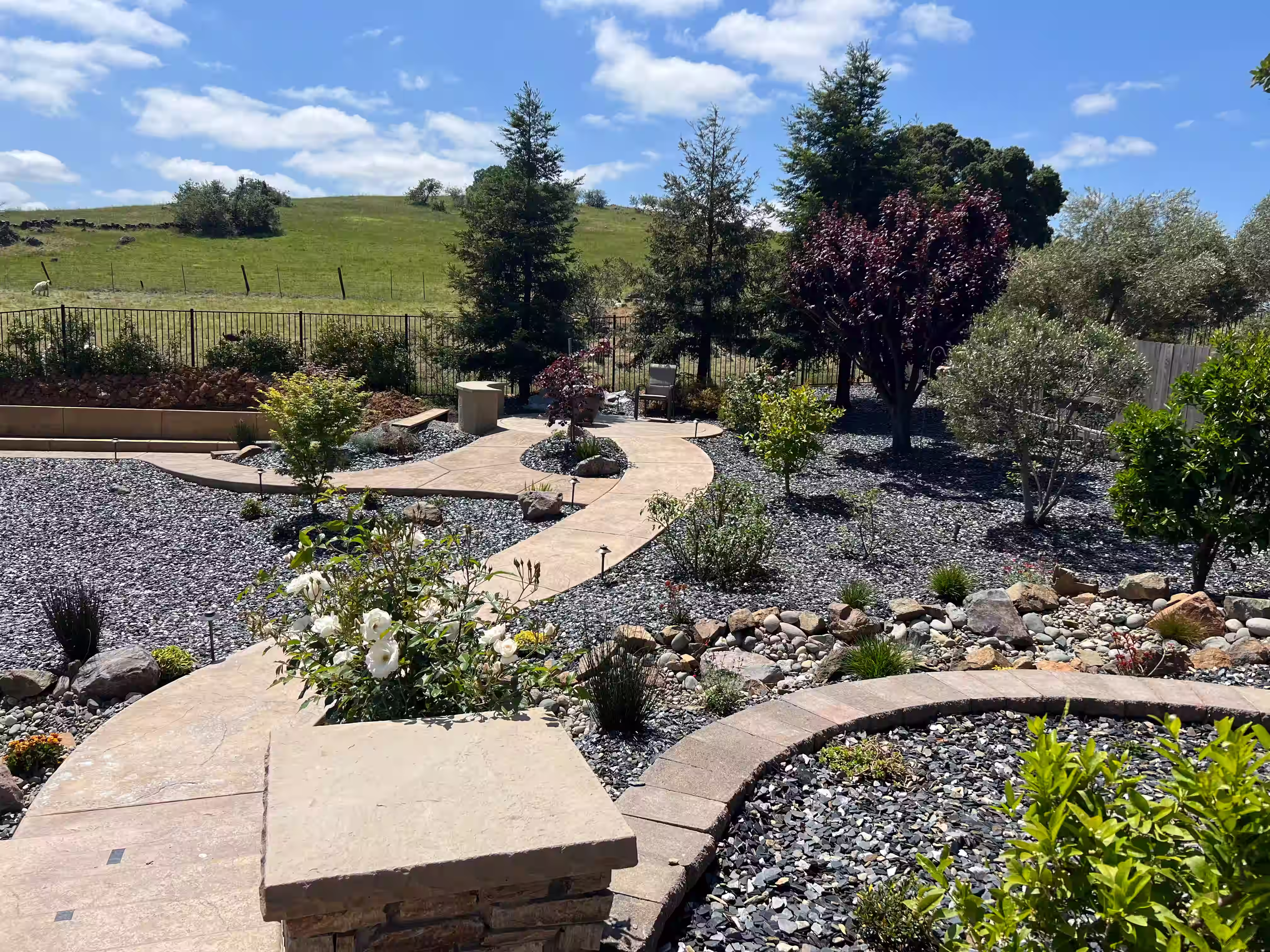 Concrete pathways with rocks, surrounded by greenery