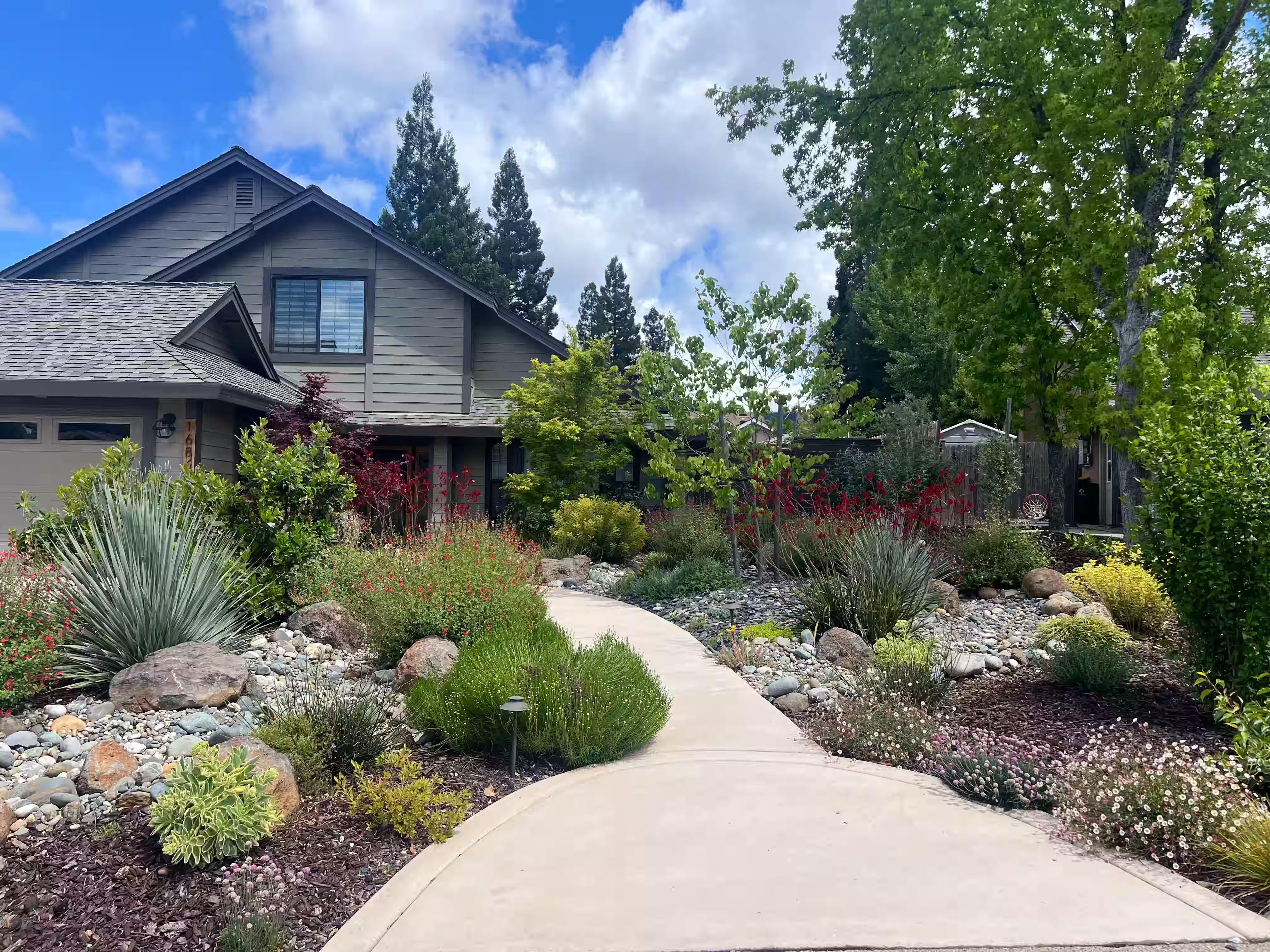 Home entryway landscape design with lush greenery