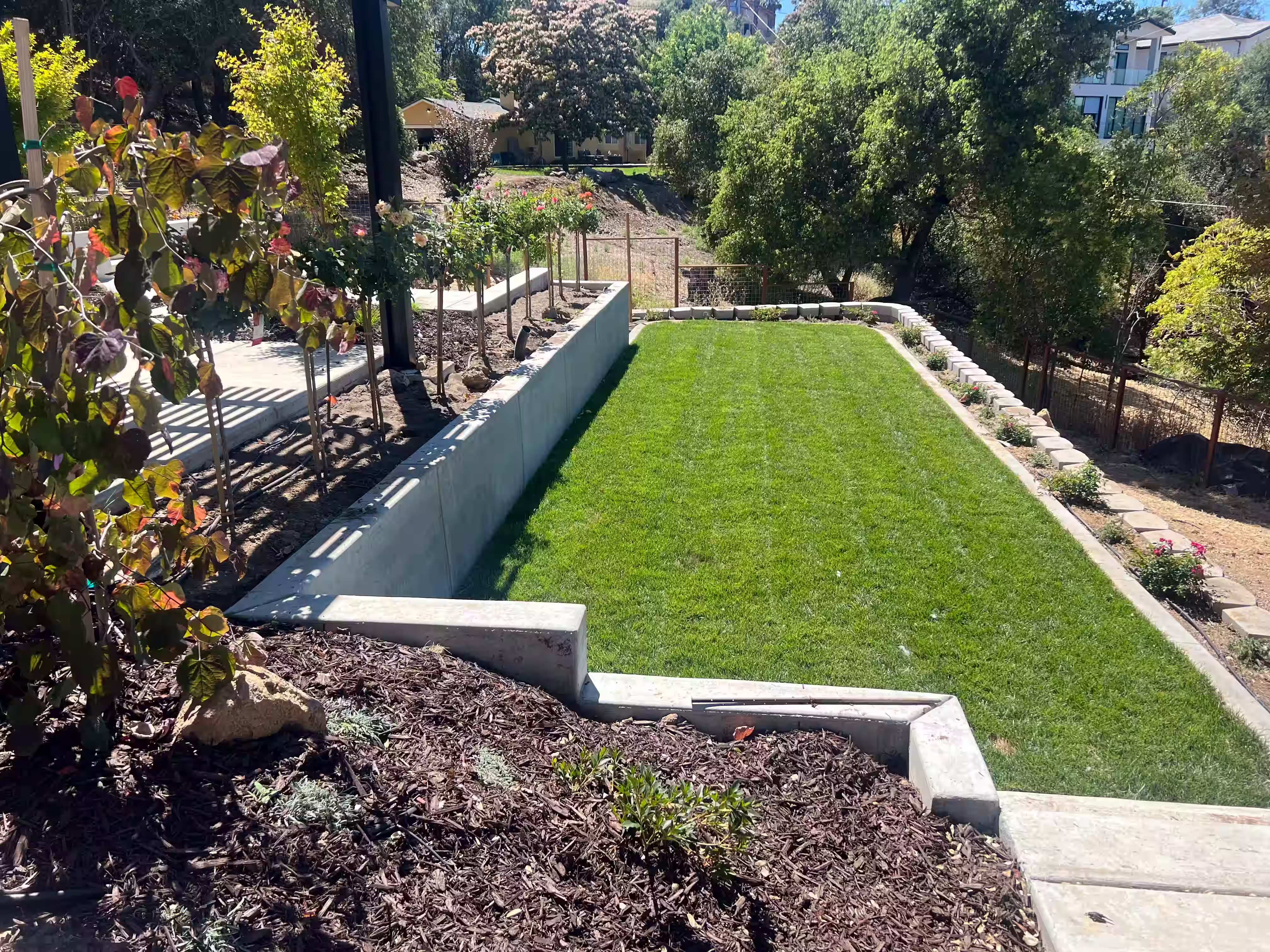 Concrete and lawn design