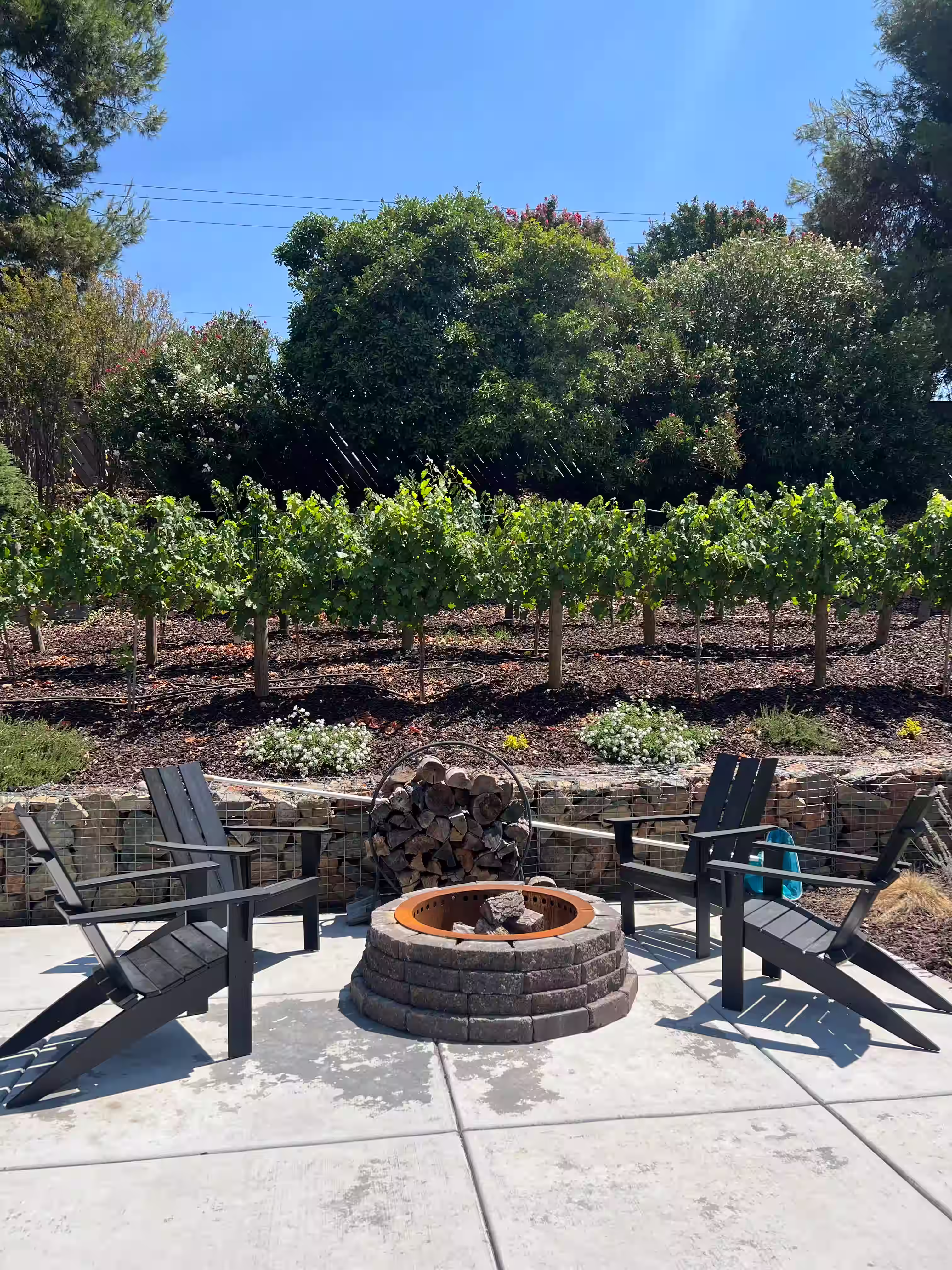Fire pit amongst a decorative vineyard