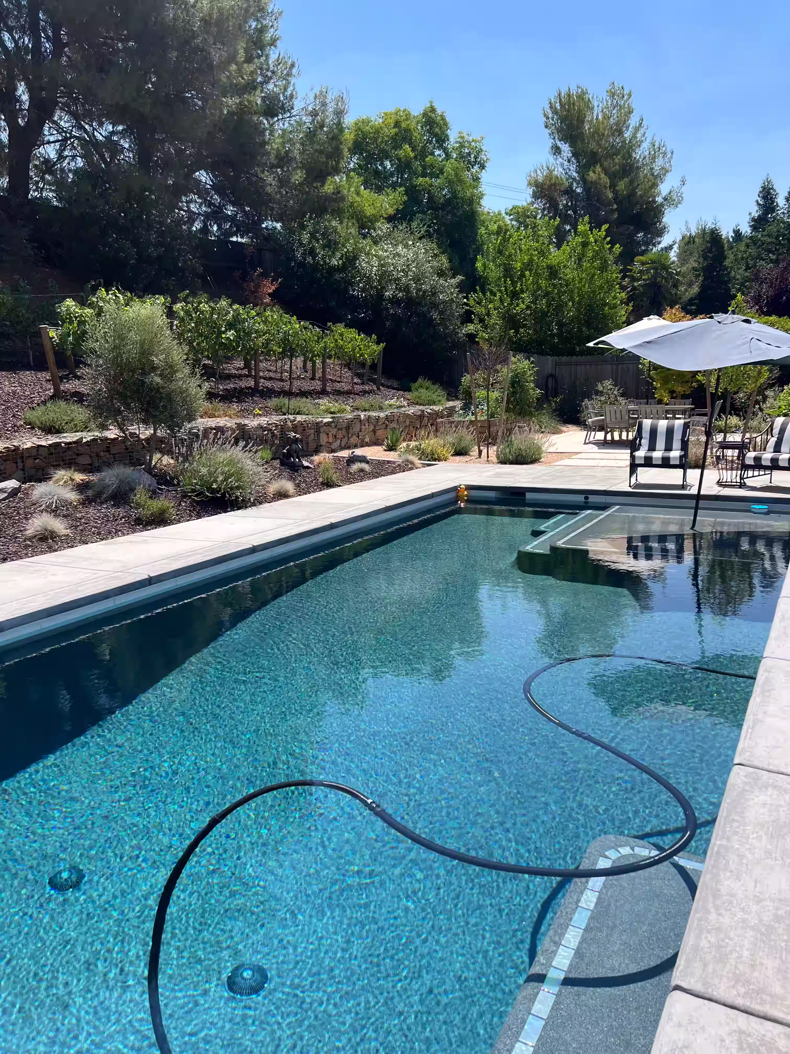 Poolside landscape