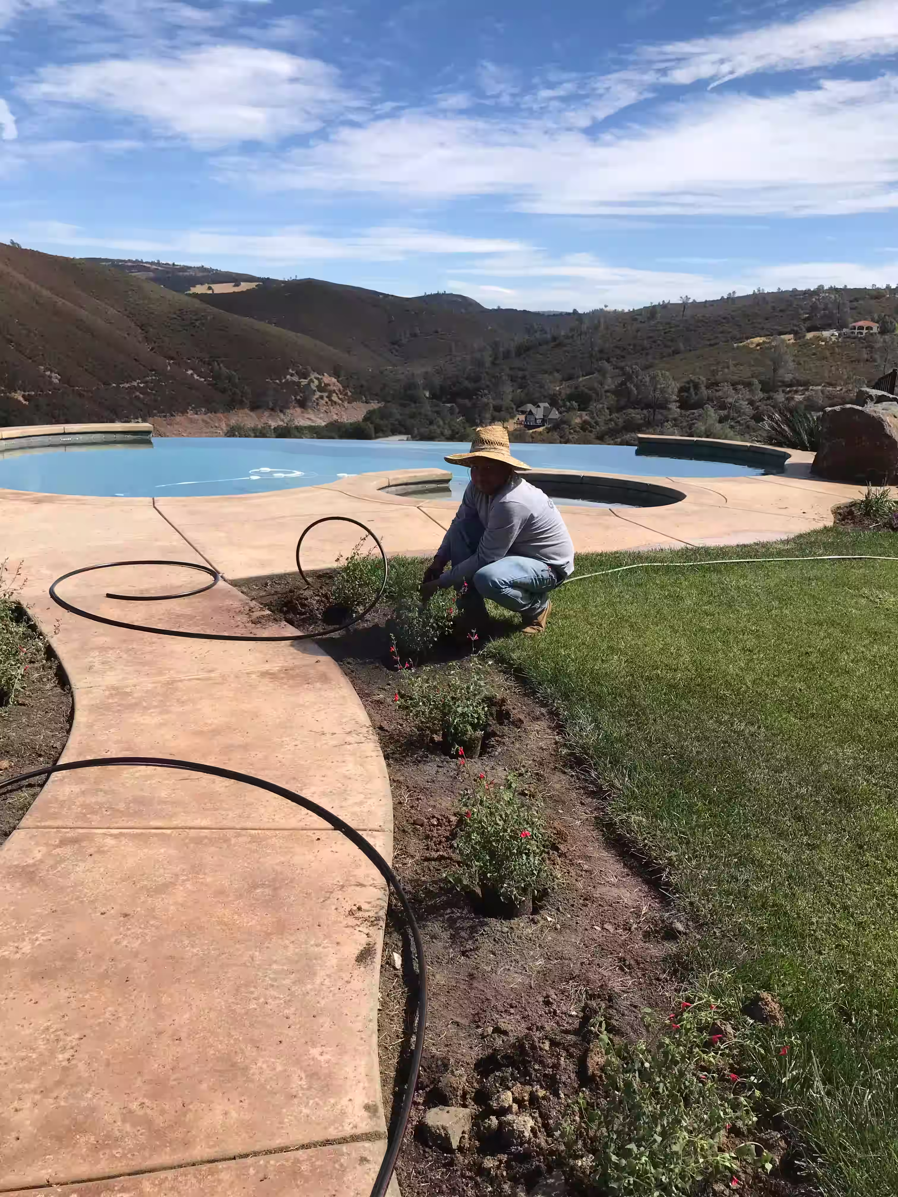Poolside landscaping that flows with the pathways and lawns surrounding the pool